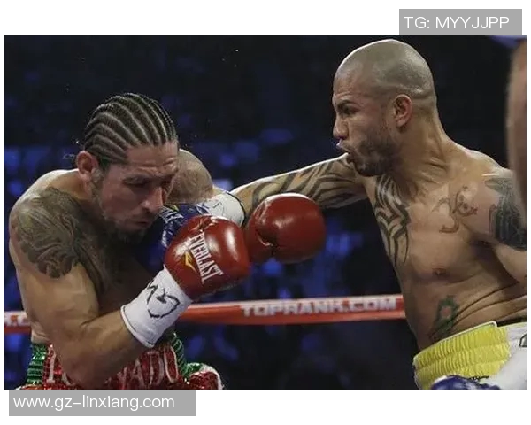 库托与戈洛夫金巅峰对决谁能在拳坛称王揭开传奇新篇 库托与戈洛夫金巅峰对决谁能在拳坛称王揭开传奇新篇