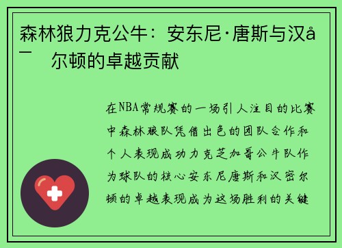 森林狼力克公牛：安东尼·唐斯与汉密尔顿的卓越贡献