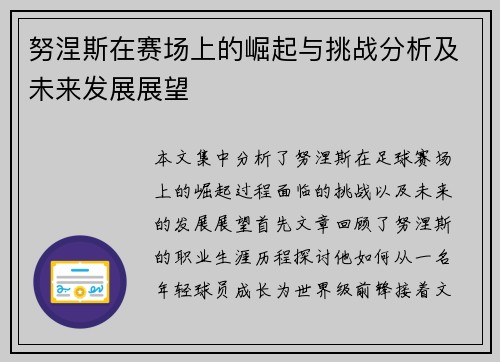 努涅斯在赛场上的崛起与挑战分析及未来发展展望