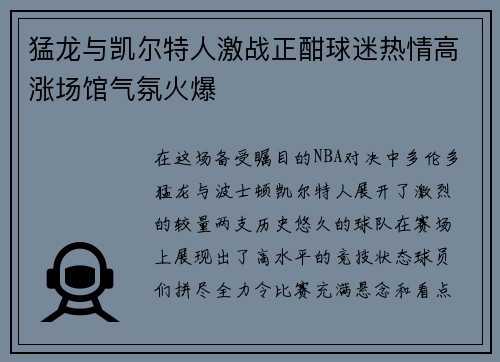 猛龙与凯尔特人激战正酣球迷热情高涨场馆气氛火爆