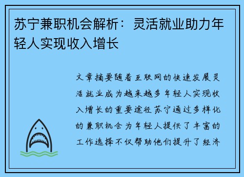 苏宁兼职机会解析：灵活就业助力年轻人实现收入增长